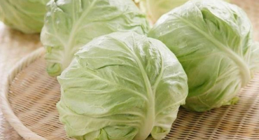 Je možné zkvasit rané zelí doma, top 3 recepty na zimu